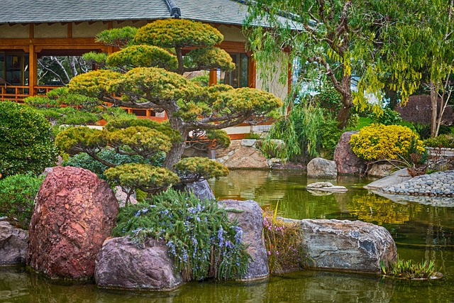 japonské zahrada s bonsajemi
